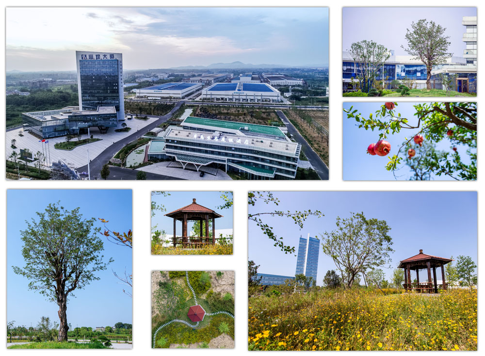 立即博·(中国)有限公司官网