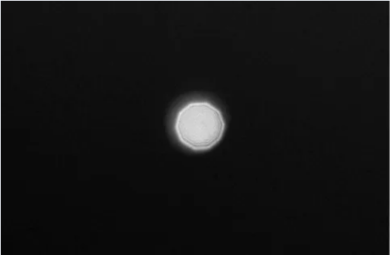 微信图片_2025-11-24_152704_105 立即博·(中国)有限公司官网